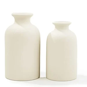 Ceramic vases 2pcs Modern Farmhouse Decor